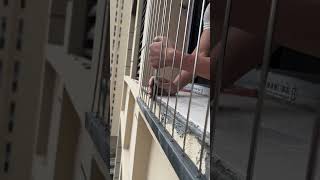 Install balcony fence [upl. by Eimmelc]