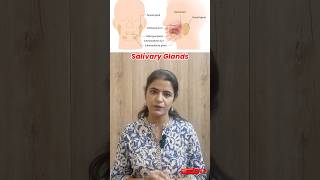 Salivary Glands Explained Types Functions and Ducts  Parotid Submandibular amp Sublingual Glands [upl. by Akerdal549]