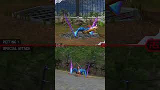 DIMORPHODON ALL EVOLUTION amp DIMORPHODON ALL ANIMATION  Jurassic World The Game [upl. by Phillane]