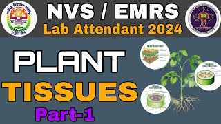 nvs lab attendant science classes 2024  plant tissue biology  non teaching exam date admit card [upl. by Jeaz]