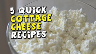 5 Quick Cottage Cheese Recipes [upl. by Tjader]