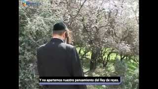 La Plegaria Personal  Rabino Shalom Arush [upl. by Row]