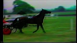 Llangammarch Trotting Races Held at Beulah 1989 UK Harness Racing Welsh Trotting [upl. by Atikal]