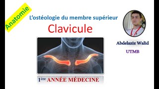 La clavicule [upl. by Aineg]