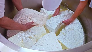 How Mozzarella Cheese Make Taiwanese handmade Cheese Making／生乳使用！台灣手作起司製作 莫札瑞拉起司製作  飛牛牧場 [upl. by Morven]