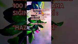 HAZEN VADİSİNE KİMLER GİRECEK👆🏻📿🕌🤲🏻🕋 islamicstatus islamicvideo [upl. by Sorkin442]