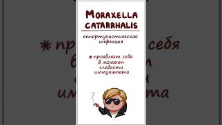 Инфекция уха и горла Moraxella Catarrhalis симптомы лечение часть 2 [upl. by Lorrin]