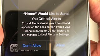 iPhone Stuck on Home would like to Send you Critical Alerts Fixed [upl. by Eerual]