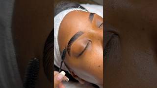 Brow Lamination Tutorial esthetician eyebrows trending sobrancelhas browlamination brows [upl. by Yllod749]