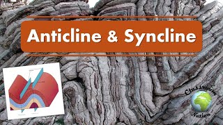 Anticline and Syncline Folds [upl. by Dyane]