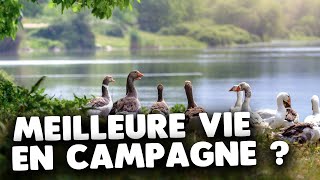 Fautil déménager en campagne pour mieux vivre [upl. by Akina]