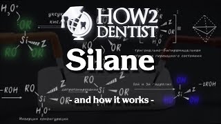 How silane works  How to Dentist [upl. by Raseta467]