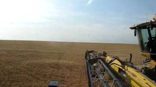 Harvesting with 580R Lexion Combine [upl. by Inimak]