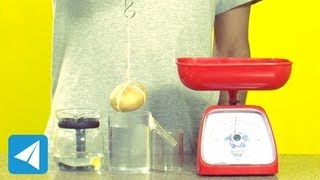 Archimedes Principle demonstration  Buoyancy  Physics [upl. by Dhaf]