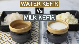 Water Kefir Vs Milk Kefir Using Kefir Grains Not Powders [upl. by Llenreb]