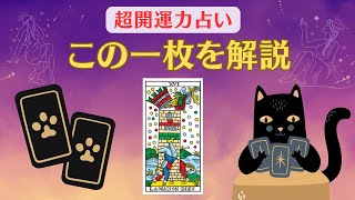 【超開運力占い！】タロット無料リーディング2024年7月10日：神の家 [upl. by Ayhtnic855]