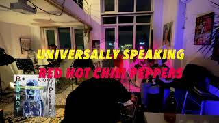 Red Hot Chili Peppers  Universally Speaking Band cover [upl. by Jaynell365]