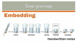 Embedding Histology  Tissue Processing Part 6 [upl. by Cone]