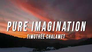 Timothée Chalamet  Pure Imagination Lyrics from Wonka [upl. by Eelrebmyk]