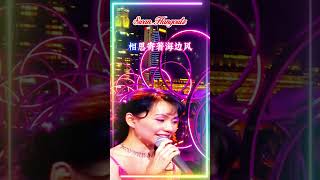 【安平追想曲 蔡幸娟】台湾闽南语金曲福建老歌怀旧名曲 Delphine Tsai 【Anping Reminiscence】 Nostalgic Hokkien Classic Hits [upl. by Leuas]