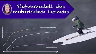 Stufenmodell des motorischen Lernens [upl. by Nonnah842]