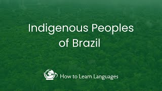 🇧🇷 The Indigenous Peoples of Brazil [upl. by Goer477]