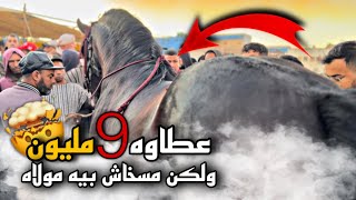 سوق سطات مع أتمنة الخيول ودخل عود مالكي عطاوا فيه 9 مليون ولكن ملاه مسخاش بيه 🥹 [upl. by Shaeffer]