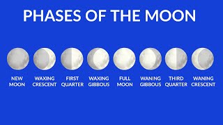 Phases of the Moon  Understanding Moon Phases  Video for kids [upl. by Divad781]