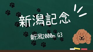 【新潟記念予想】 [upl. by Pan982]