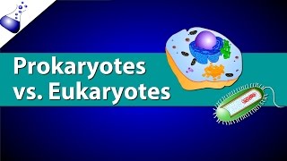 Prokaryotic Vs Eukaryotic Cells [upl. by Gillead766]