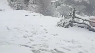 Mussoorie snowfall 2024 [upl. by Kata]