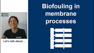 Biofilm Minutes  Biofouling in membrane processes [upl. by Ulda]