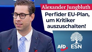 Perfider EUPlan um Kritiker auszuschalten – Alexander Jungbluth AfD [upl. by Casmey]