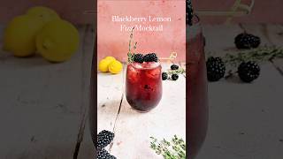 Blackberry Lemon Fizz Mocktail Recipe by The Ice Co [upl. by Hanfurd]