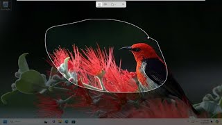 How to Use the WinShiftS Keyboard Shortcut to Capture Screenshots in Windows 1110 Guide [upl. by Nareik726]