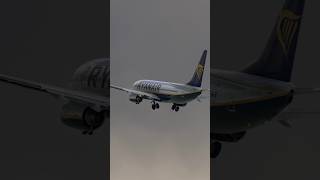 Ryanair 737800 Takeoff from Cork Airport 🇮🇪  MSFS World Update 17 msfs2020 aviation b737 [upl. by Ecniuq]