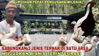 INSPIRASI BISNIS UNIK KOMBINASIKAN TERNAK ENTOK AYAM DAN TANAMAN HIAS [upl. by Sink372]