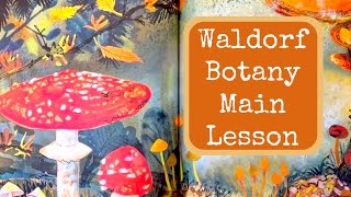 WALDORF MAIN LESSON BOTANY  UNIT STUDY PLANTS amp TREES  HOMESCHOOL [upl. by Nnyrb305]