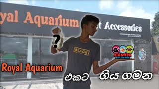 ‍රෝයල් මින්මැදුර සොයා ගිය ගමනExploring The Royal Aquarium In Sinhala  Unbelievable Journey😱 [upl. by Eittocs665]