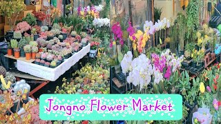 Lets walk to Jongno Flower Market Dongdaemun Seoul 종로꽃시장 ‎jllifestyle [upl. by Einnig]