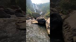 Don’t miss this in Chhattisgarh  Dangari waterfall jaspur Chhattisgarh dangari dangariwaterfall [upl. by Blackburn783]