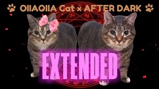 OIIAOIIA CAT × AFTER DARK EXTENDED [upl. by Ilysa]