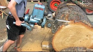 2 Holz und Feldtag Niederböhmersdorf  25  die Holzbearbeitung  Kettensägen  Chainsaw [upl. by Couhp]