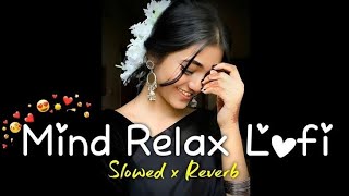 mix  Love new hindi 💞slowedreverb song💘  mind relax lofi  new lofi song 2024 lofi [upl. by Tinya]