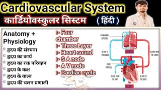 cardiovascular system  cardiovascular system anatomy and physiology  circulatory system heart [upl. by Sessler]