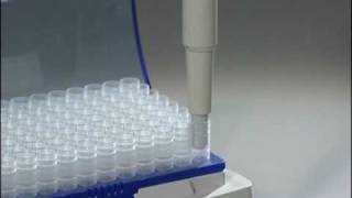 How to use the Forward Pipetting technique with Eppendorf Reference® mechanical pipettes [upl. by Alegnat]