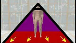 The Pyramid View of the Human Body Part 01 [upl. by Akahs]