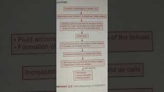 Pathophysiology of mastoiditis   AHN notes [upl. by Llenyl]