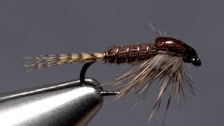 Phat and Phunky Pheasant Tail Nymph [upl. by Corney531]