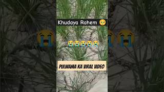 Pulwama kà 🥺 viral video today  No Water in fields  Kashmir life  kashmiri shorts  gulistan news [upl. by Harri154]